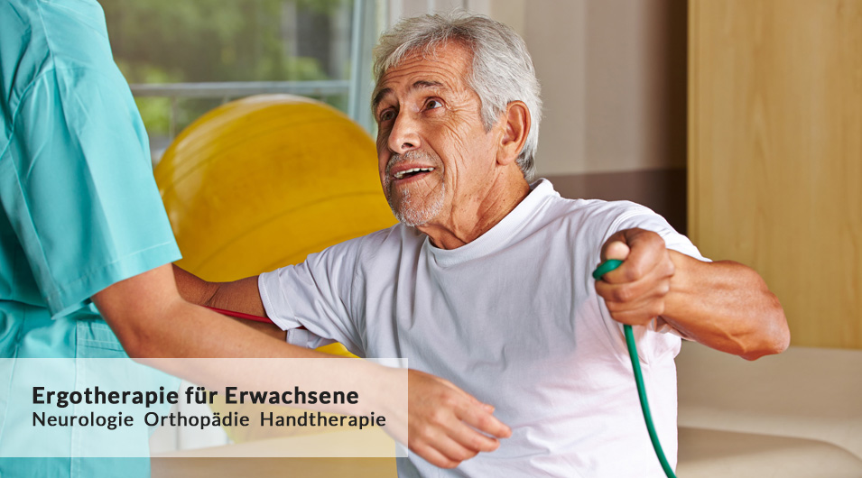 ergo-erwachsene-header.jpg